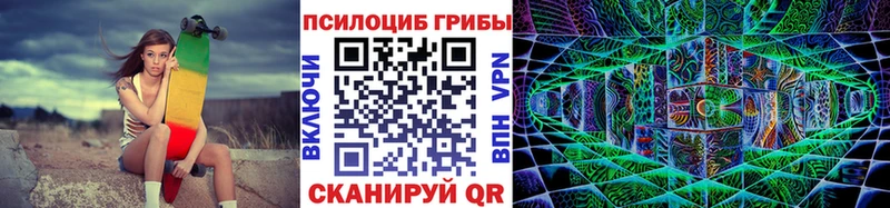 площадка наркотические препараты  blacksprut tor  Емва  Псилоцибиновые грибы GOLDEN TEACHER 